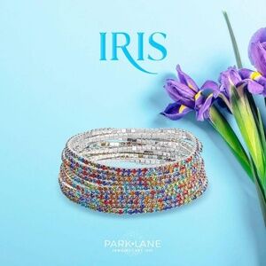 Park Lane Iris Bracelet NWT
